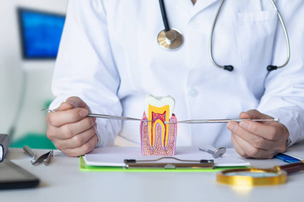 Best Pediatric Emergency Dentist in Emporium, PA
